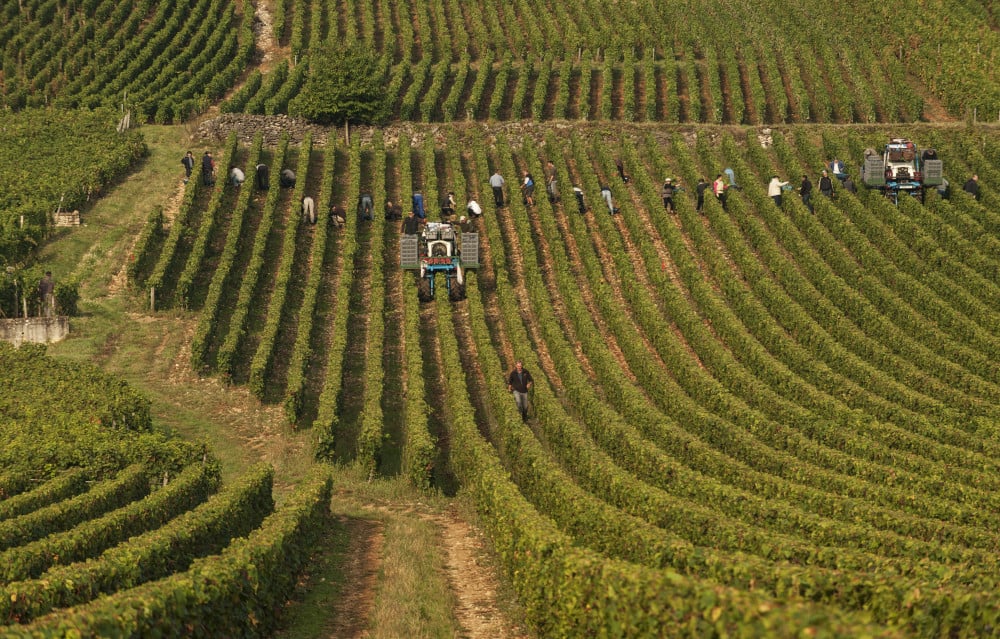 Domaine de la Romanee Conti Richebourg