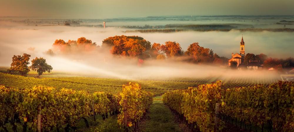 Bordeaux wine climate and soil