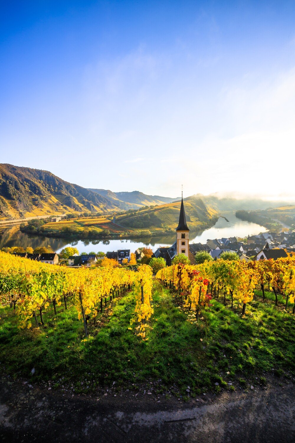 4. Why is the Scharzhofberger vineyard so famous?