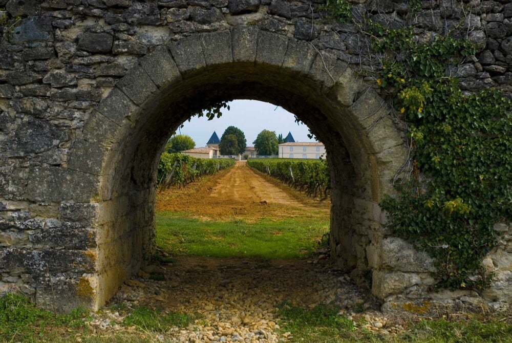 Talking Wine with&nbsp;J&eacute;r&ocirc;me Moitry, CEO of Ch&acirc;teau Climens