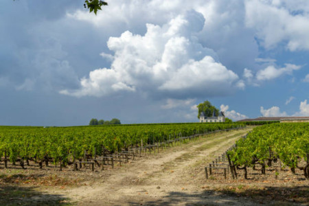 Where exactly is the Margaux appellation?