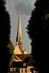 Burgundy wine history