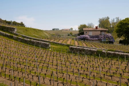 Where exactly is the Saint-Émilion appellation located?