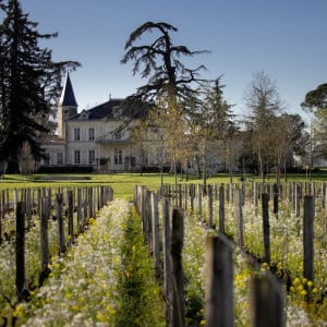 The story of Cheval Blanc