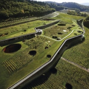 Does Antinori only make red wines?