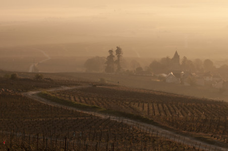 Champagne soil and climate
