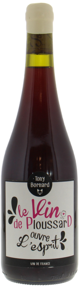 Tony Bornard - Le Vin de Ploussard Ouvre l'Esprit 2018