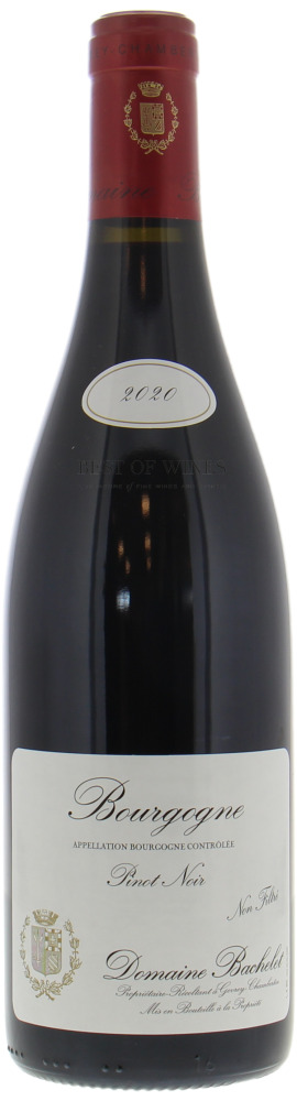 Domaine Denis Bachelet - Bourgogne Pinot Noir 2020 Perfect