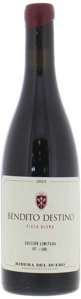 Bendito Destino - Tinto Field Blend 2022