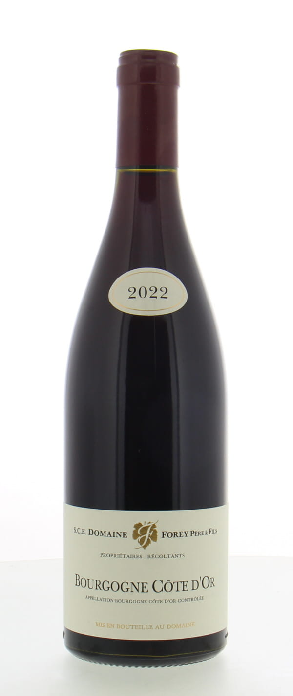 Domaine Forey Pere & Fils - Bourgogne Pinot Noir 2022