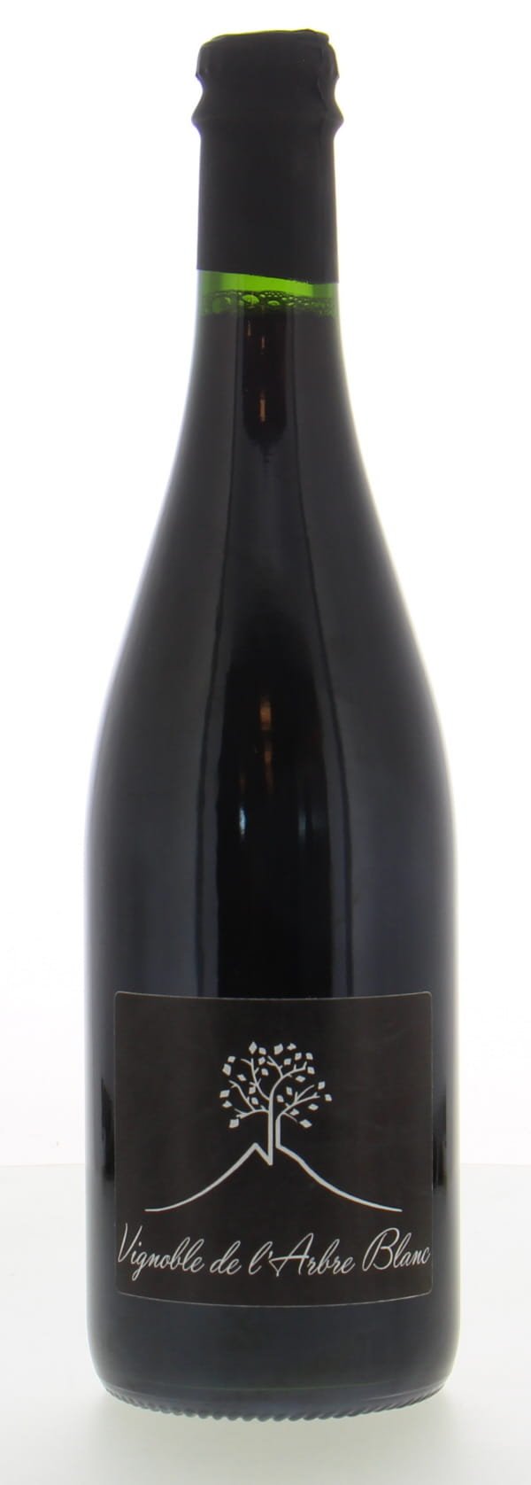 Vignoble de l'Arbre Blanc - Les Orgues, 2020